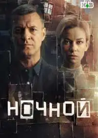 Постер Ночной (2024)